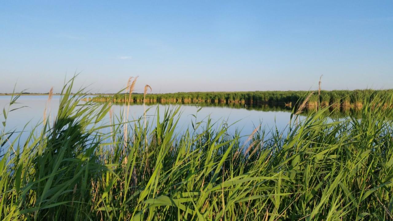 伊尔米茨 Arkadenhof Zur Puszta Graf酒店 外观 照片